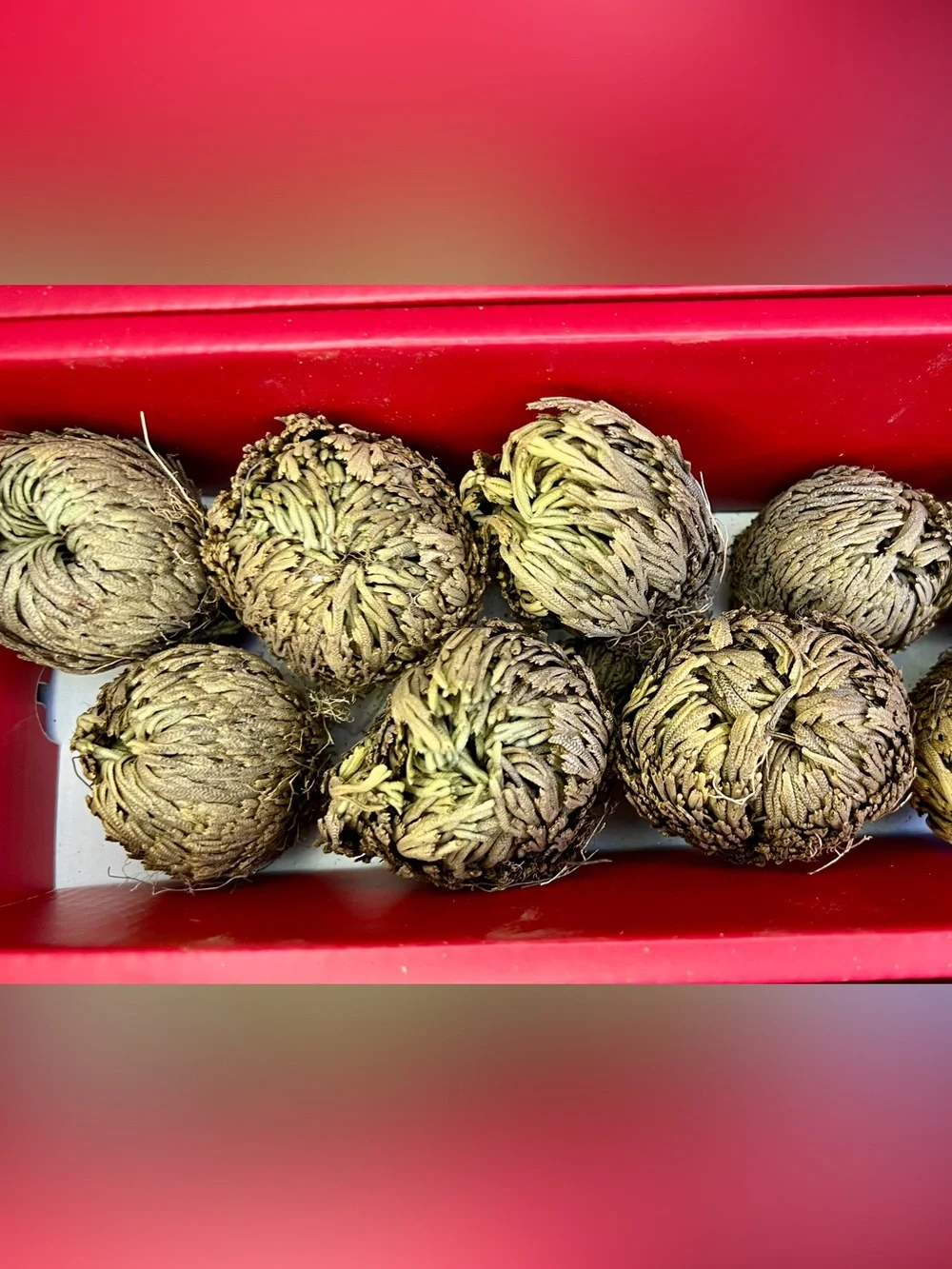 Rose of Jericho Resurrection Plant - Selaginella Lepidophylla Dried Fern Sz 2–3
